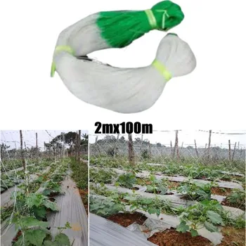 2x100m grotelių tinklas laipiojimo augalams Sunkiųjų darbų sodo grotelės Vynmedžių, vaisių ir daržovių, vijoklinių vyninių augalų