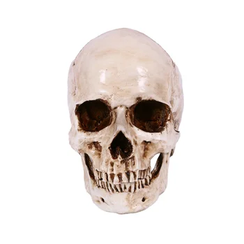 Kaukolės dekoro rekvizito skeleto galvutė 1:1 Modelis Helovino stilius Vaiduoklių namų vakarėlis Namų dekoravimo festivalio reikmenys