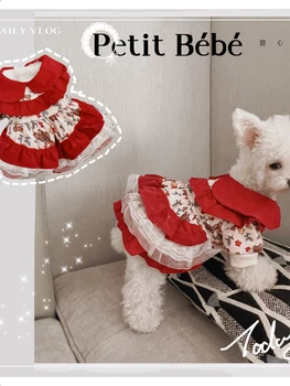 Ispanijos princesės žieminė suknelė augintinis šuo Jorko vasaros maltiečių suknelė Naujieji metai