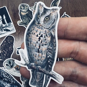 Vintage Owl Lipdukas Junk Journal Dekoratyviniai lipdukai Scrapbooking Amatų dienoraščio albumas Mokykliniai reikmenys