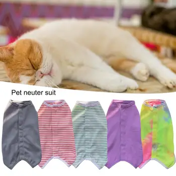 Universalūs naminių gyvūnėlių atkūrimo drabužiai Ryškios spalvos apvalus kaklas Puikus apdirbimas Šunų sterilizavimo kostiumas Anti Lick