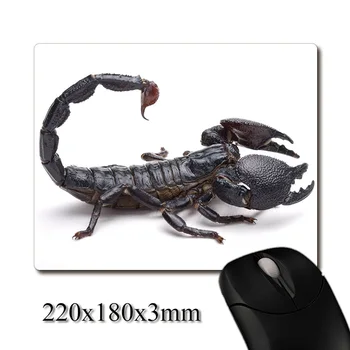 Afrikos imperatoriaus skorpionas atspausdintas Sunkus audimas neslystantis guminis padas biuro pelės kilimėlis Paklotas Vakarėlis palankios dovanos 220x180x3mm